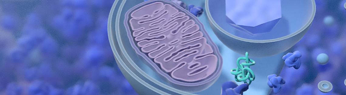 Scientific rendering of pink oval maze surrounded by blue and green bubbles