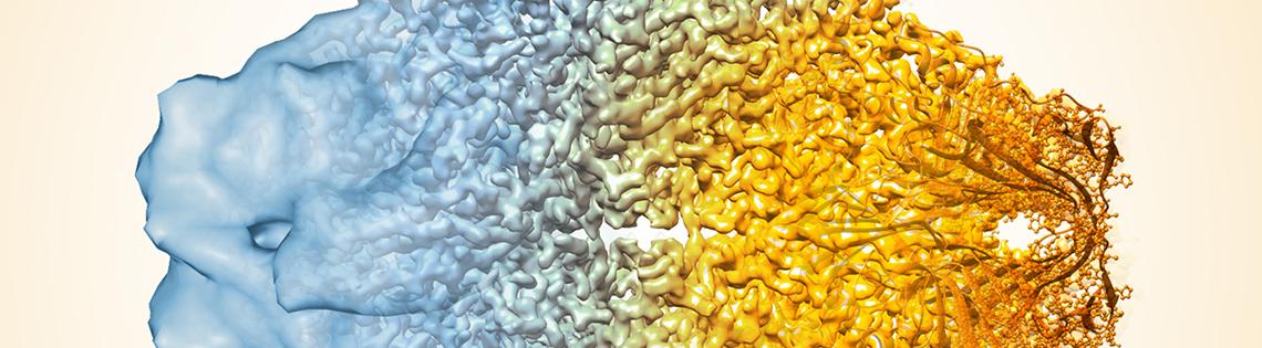 A blue blob with a mass of little blue chunks next to chunks of orange, then brown.