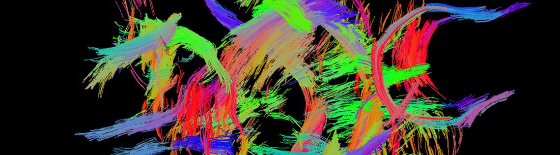 Colorful wispy fibers set against a black background