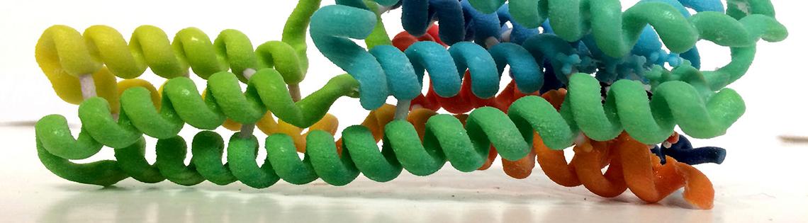 Serotonin receptor bound to ergotamine.