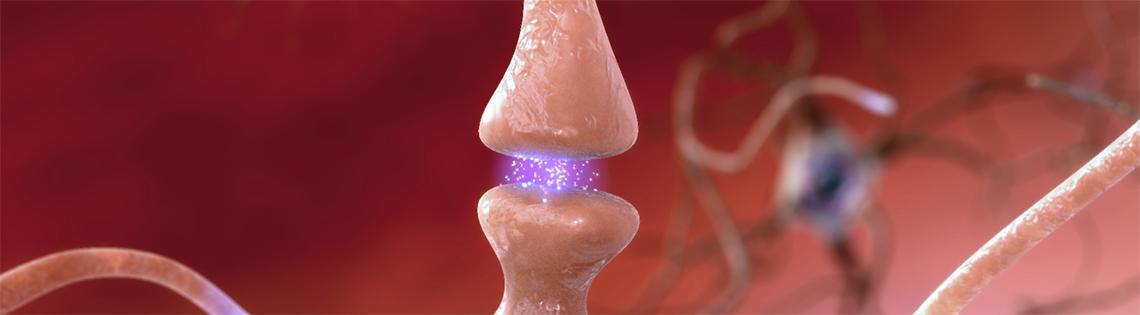 Synapse illustration