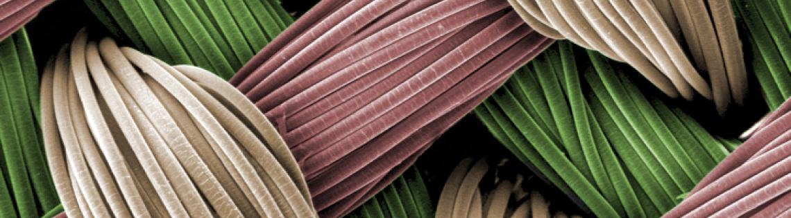 Closeup of weave pattern