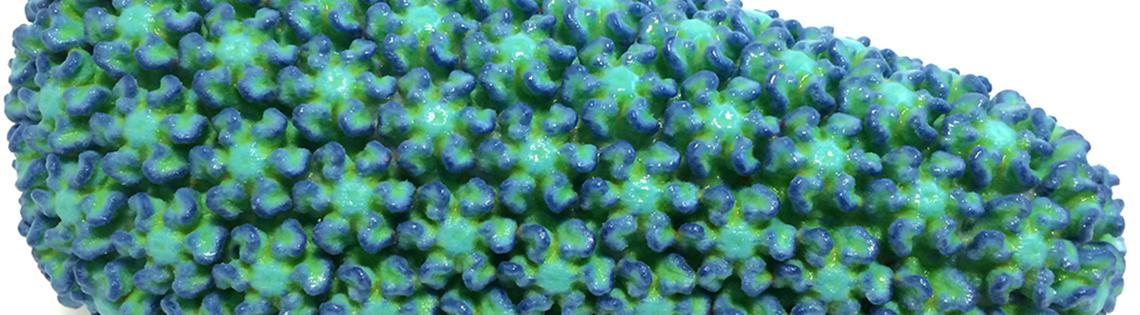 Green cone-shaped capsid of HIV