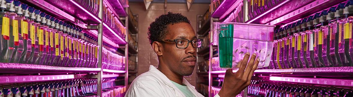 Bishop holds up a tank of zebrafish to observe them