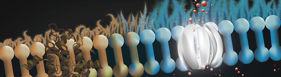 Scientific rendering of row of brown and blue barbell-like rods with tiny red balls below and on top, on a black background