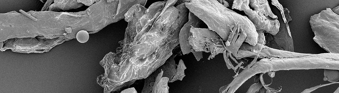 Black and white image showing several gray fragments