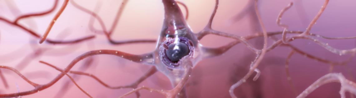 A gelatinous blob with an axon tail and dendrites branching off, on a pink background