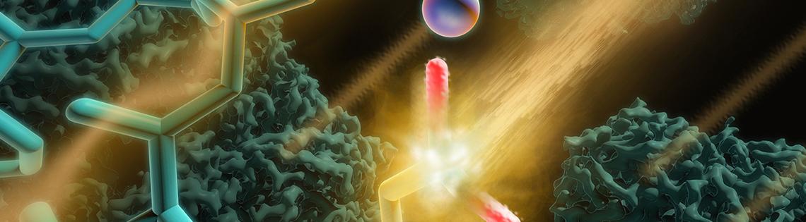 Scientific image of glowing green branches floating in a black background with two orange beams aimed at the red and blue tips. 