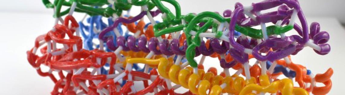 A 3D print of hemagglutinin. The colorful model has many curly lines that look like pipe cleaners.