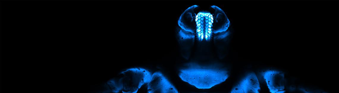 Blue skeleton of a tick on a black background