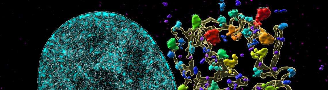 A large round turquoise mass sits next to a network of strands, with multi-colored flowering buds.