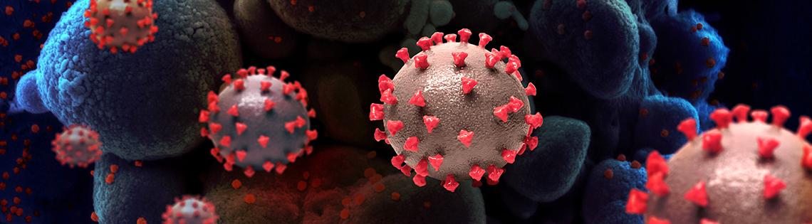 SARS-CoV-2 virus particles