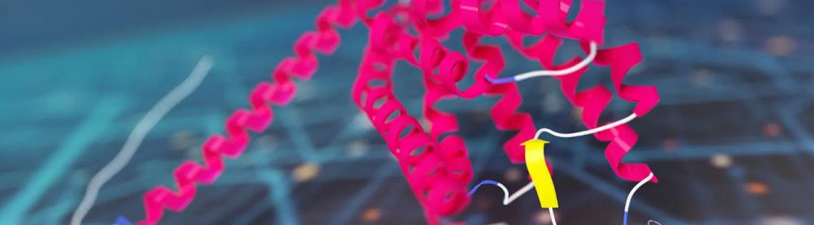 Protein over a computer network