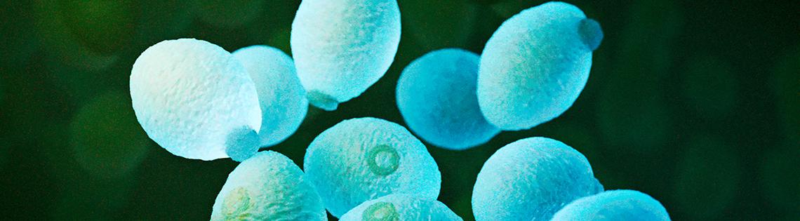 Light blue egg-shaped objects floating in a black background