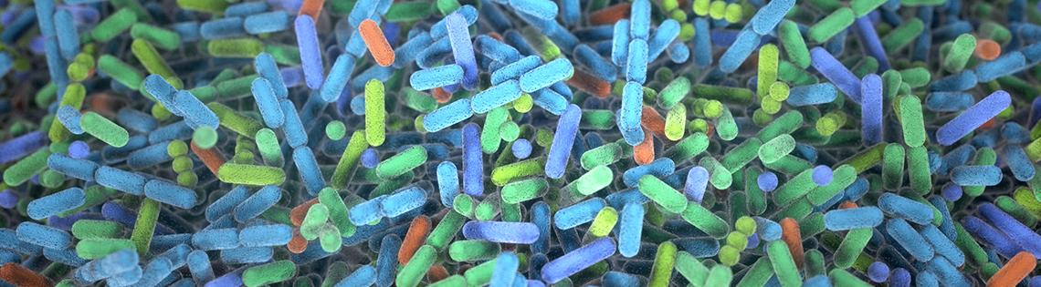 multi-colored capsule-shaped objects in a pile