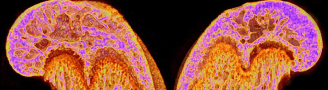 scientific illustration of two multi-color waves cresting in mirror images on black background