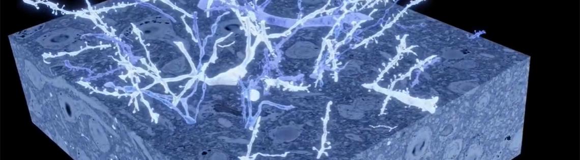 A large blue cube with many white wisps floating on top, against a black background