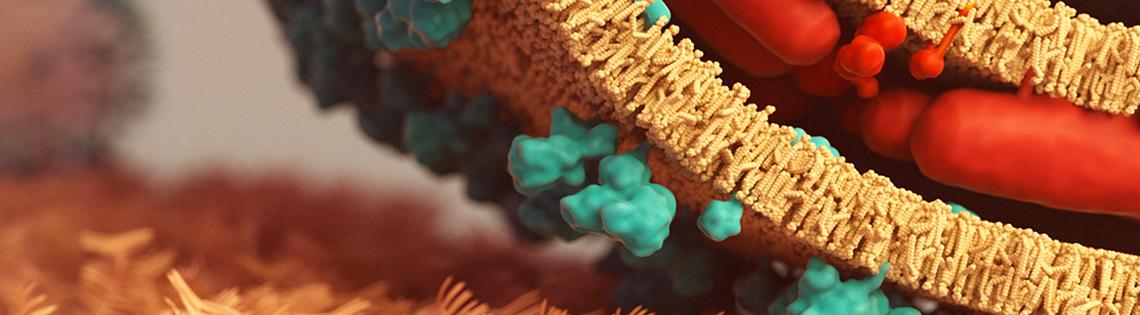 scientific image resembling a straw rug with the multi-colored, multi-textured wheel rolling at the right edge