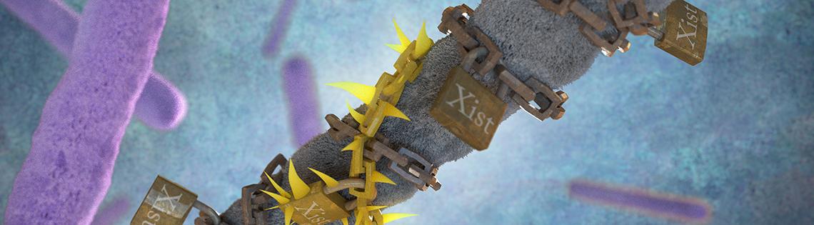 Purple rods float around next to a tan rod with tags reading "Xist"