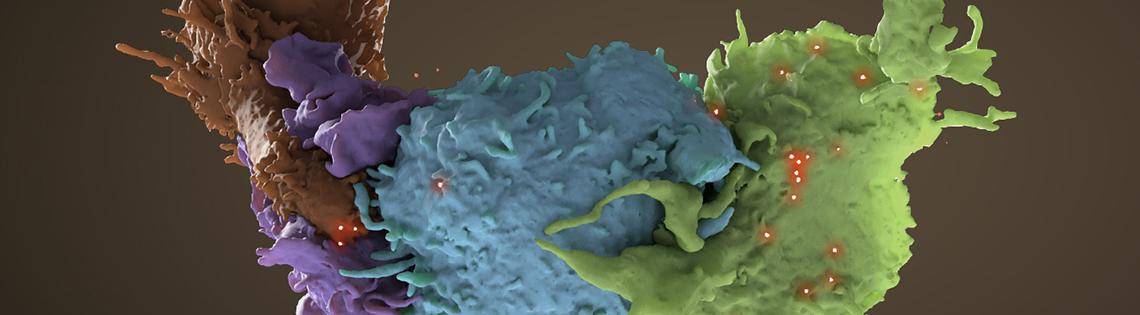 blobs of purple, blue and green against brown background