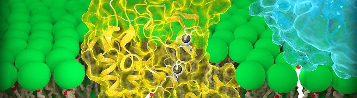 Rows of green balls surround yellow clusters with large blue swirls on each side
