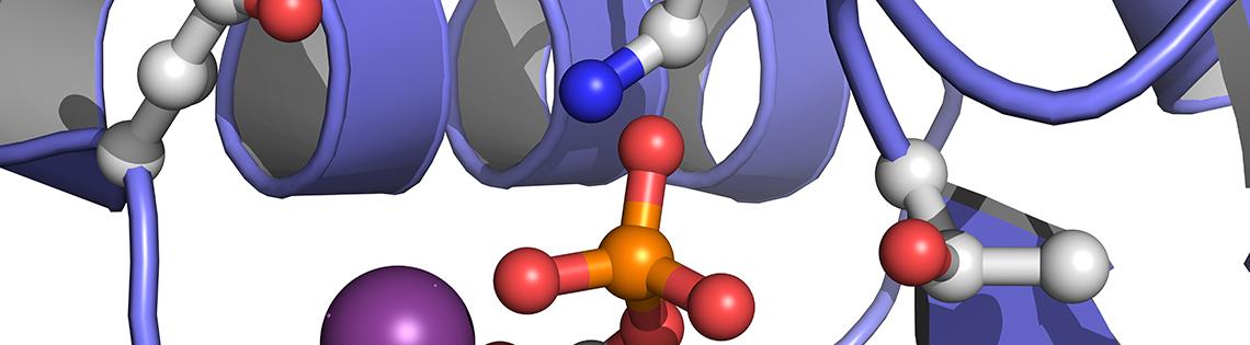 A purple squiggly coil surrounded by purple ribbons and several small red balls