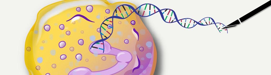 A yeloow blob dotted with pink circles and purple swirls, with a pen drawing a long DNA double helix from its center out onto the page