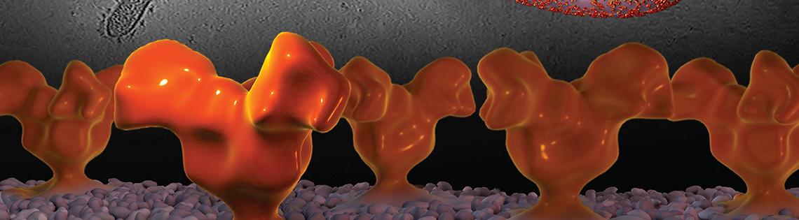 Large yellow blobs sit atop pink pebbles, with an eel-like swirl above, against grey background