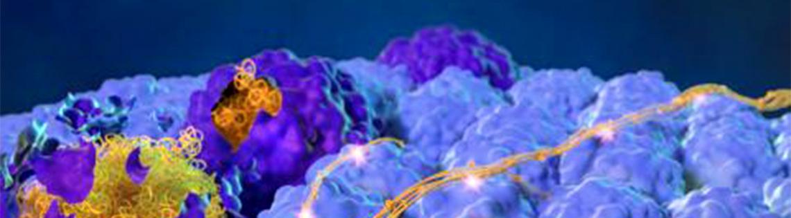 In a sea of lavender bubble-shaped clouds, several large dark purple orbs sit with orange and yellow ribbon running through them.