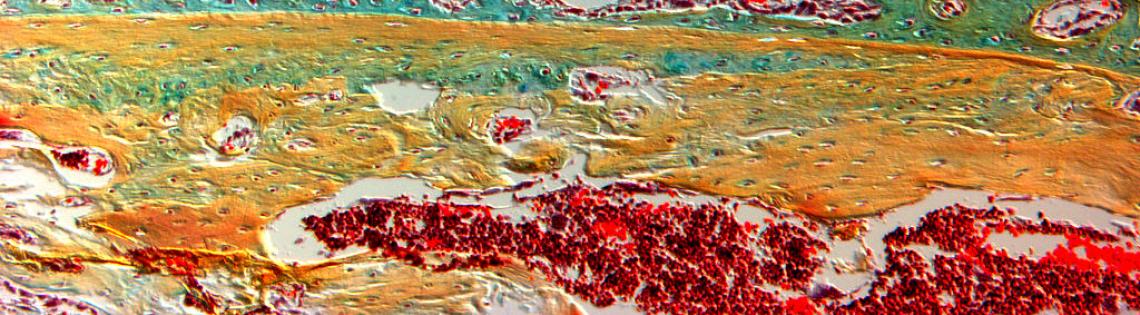 Scientific image resembling a landscape with a red pond in foreground and greenish mountain-like figures in the background and bluish skyline