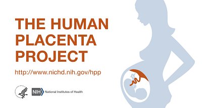 Human Placenta Project logo