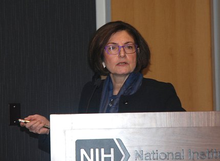 Dr. Fried speaks from the podium.