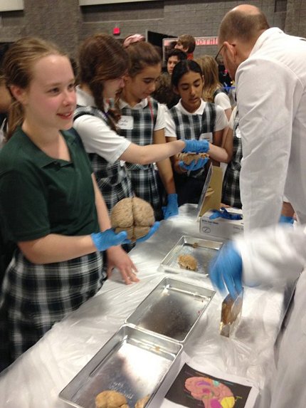 Young students hold human brains during USA Science and Engineering Festival.