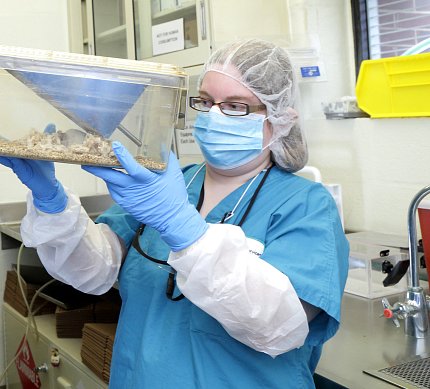 Hall looks into clear container she is holding.