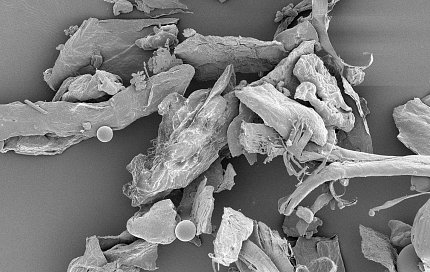 Household dust, magnified
