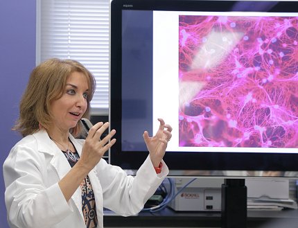 Kaplan describes her research in front a monitor with a pink and purple medical image