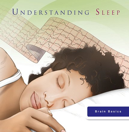 Understanding Sleep (Brain Basics)