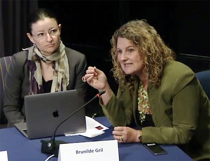 Wolinetz speaks as Gril looks on