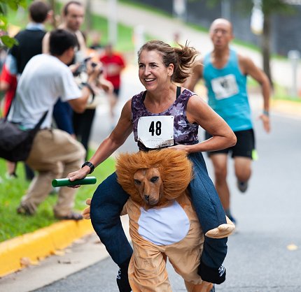 Andrea Keane-Myers wearing a lion costume while running.