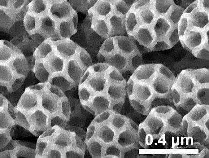 Microscopic structures that look similar to honey combs