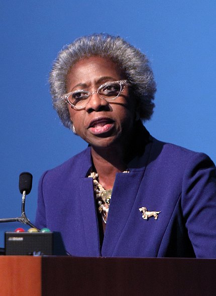 Dr. Hannah Valentine speaks at town hall meeting.