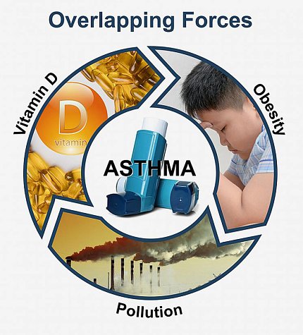 circular graphic linking vitamin D capsules to smoke stacks to asthma to obesity