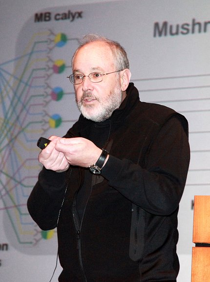 Rubin gesturing during lecture, with slide projected behind him