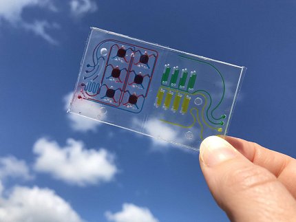 Small clear rectangular plate with colored nodules, held by thumb and forefinger up to sky