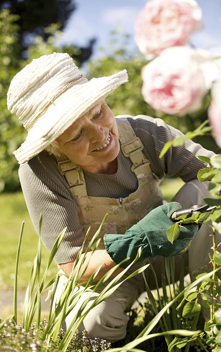 An older woman wearing a hat prunes flower stems in the garden.