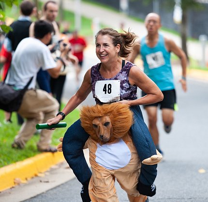 Relay participant runs in lion costume.