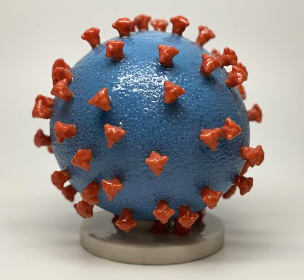 A plastic coronavirus model: a blue ball with red spikes