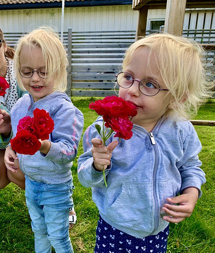 Isabella and Julia, wearing light blue hoodies, on the lawn smelling red roses.
