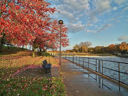 The photo features several trees and park bench alongside the bank of the Flint River 
