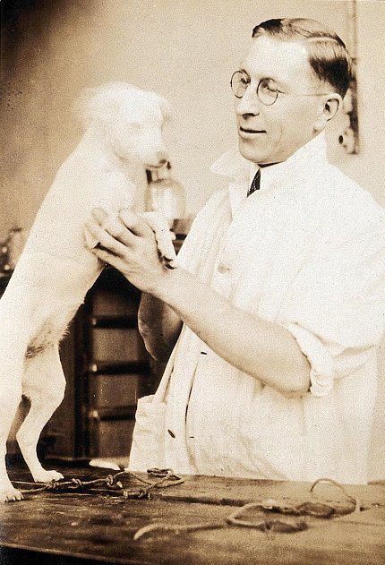 Banting stands holding small white dog who is standing on hind legs on a table.